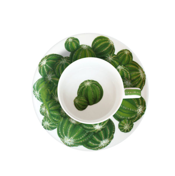 ESPRESSO ŠÁLKA  VEĽKÁ CACTUS - Image 4