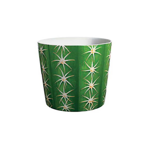 ČREPNÍK CACTUS