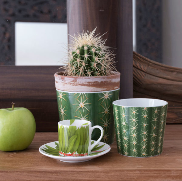 ČREPNÍK CACTUS - Image 2