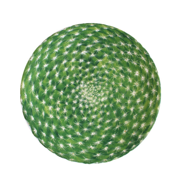 DEZERTNÝ TANIER CACTUS