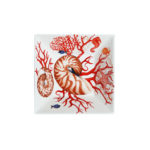 MISKA  MARE - Image 3