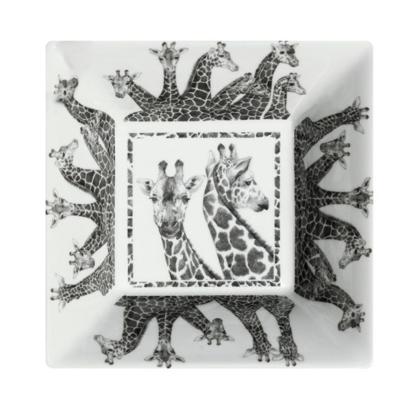 MISKA  WILD SPIRIT - Image 4