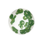 MISA  CACTUS - Image 2