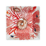MISKA  MARE - Image 3