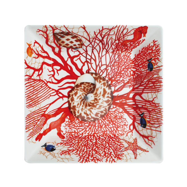 MISKA  MARE - Image 3
