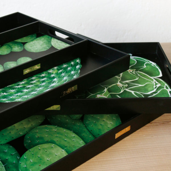 PODNOS CACTUS - Image 3