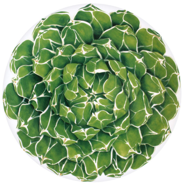 PODTANIER CACTUS
